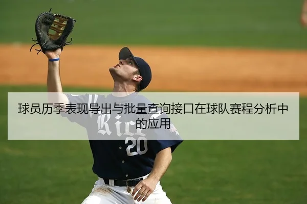 球员历季表现导出与批量查询接口在球队赛程分析中的应用