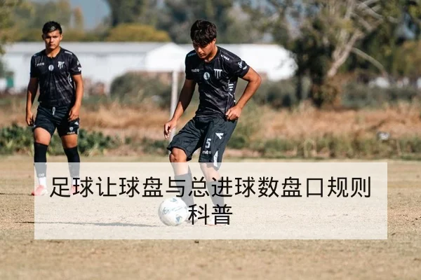 足球让球盘与总进球数盘口规则科普